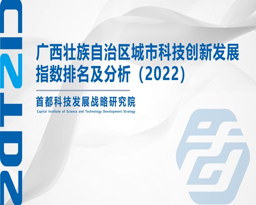 嗯…啊…骚逼视频【成果发布】广西壮族自治区城市科技创新发展指数排名及分析（2022）